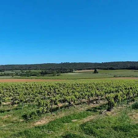 Proche D'uzes Ferienhaus Sagriès